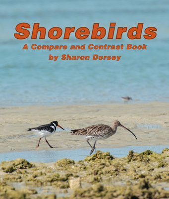 Shorebirds: A Compare and Contrast Book - Sharon Dorsey