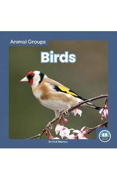 Coperta cărții 'Birds - Nick Rebman'