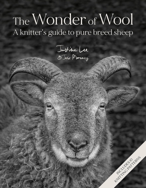Wonder of Wool - Justine|morency Lee