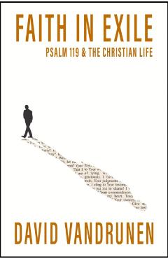 Faith in Exile - David Null Vandrunen