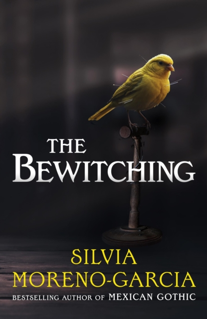 Bewitching - Silvia Moreno-garcia
