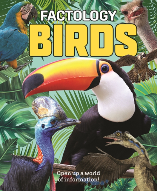 Factology: Birds - 