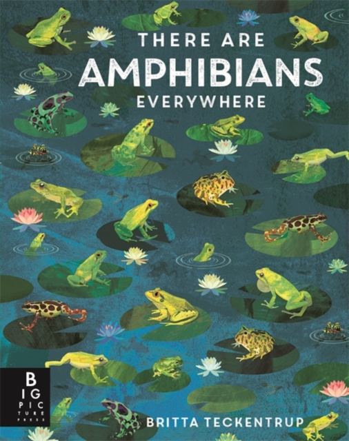 There Are Amphibians Everywhere - Camilla De La Bedoyere