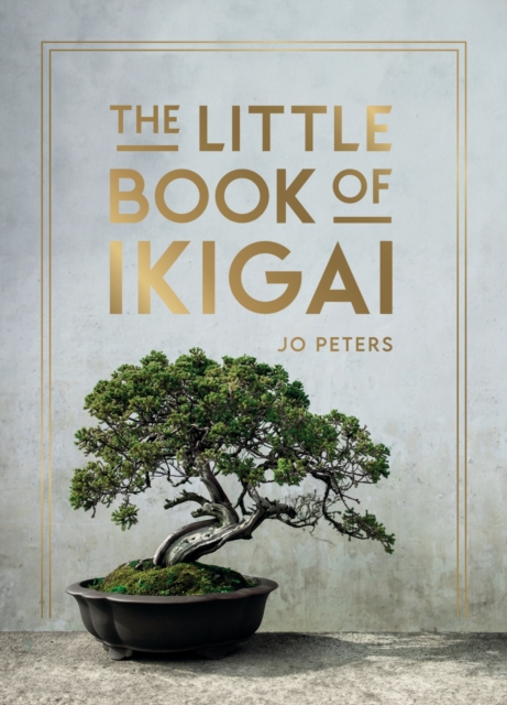 Little Book of Ikigai - Summersdale Publishers