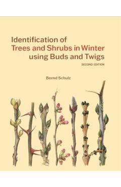 Poza produsului Identification of Trees and Shrubs in Winter using Buds and Twigs - Bernd Schulz