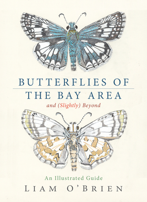 Butterflies of the Bay Area and (Slightly) Beyond: An Illustrated Guide - Liam O'brien