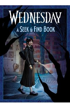 Wednesday a Seek & Find Book -