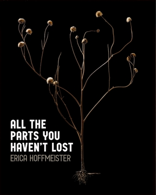 All the Parts You Haven't Lost - Erica Hoffmeister