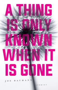 Poza produsului A Thing Is Only Known When It Is Gone - Joe Baumann