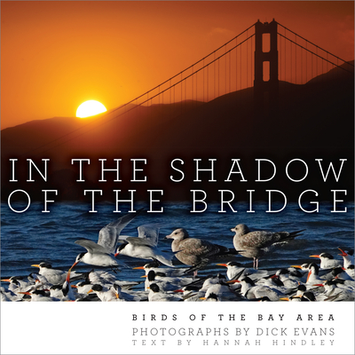 In the Shadow of the Bridge: Birds of the Bay Area - Dick Evans