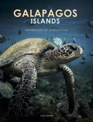 Galapagos Islands - Tom Jackson