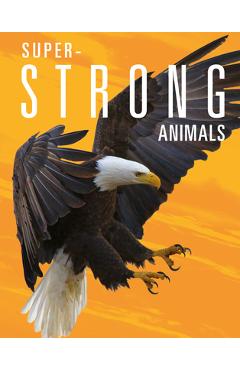 Coperta cărții 'Super-Strong Animals - Joanne Mattern'