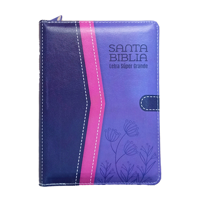 Santa Biblia - 