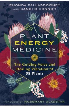 Plant Energy Medicine: The Guiding Voice and Healing Vibration of 58 Plants - Rhonda Pallasdowney