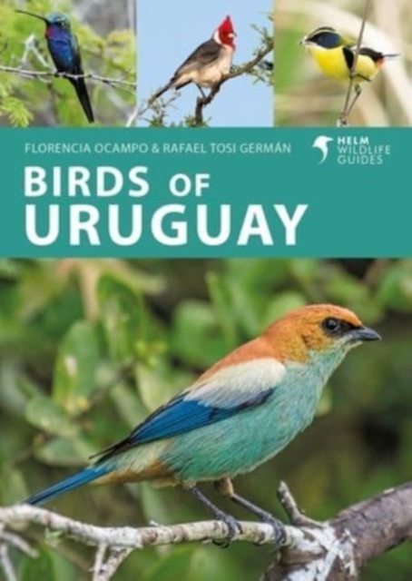 Birds of Uruguay - Florencia|german Ocampo