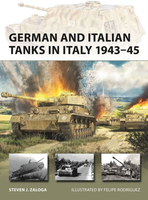 German and Italian Tanks in Italy 1943-45 - Steven J. Zaloga