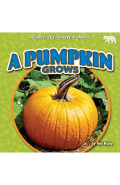 Coperta cărții 'A Pumpkin Grows - Rex Ruby'