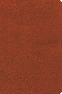 CSB Study Bible, Personal Size, Digital Study Edition, Burnt Sienna Leathertouch -