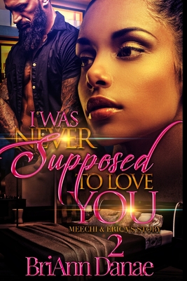 I Was Never Supposed To Love You 2: Meechi & Erica's Story - Briann Danae
