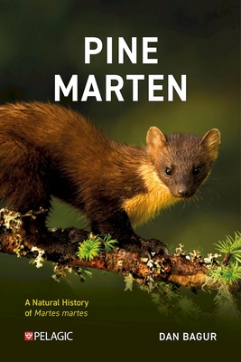 Pine Marten: The Secret Life of Martes Martes - Dan Bagur