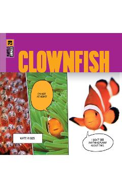Coperta cărții 'Clownfish - Kate Riggs'