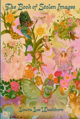 The Book of Stolen Images - Laura Lee Washburn