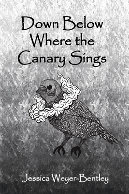 Down Below Where the Canary Sings: Love, Loss, and Appalachia - Laura Bentley