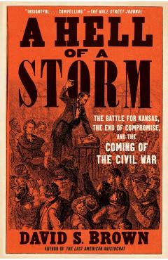 A Hell of a Storm: The Battle for Kansas, the End of Compromise, and the Coming of the Civil War - David S. Brown