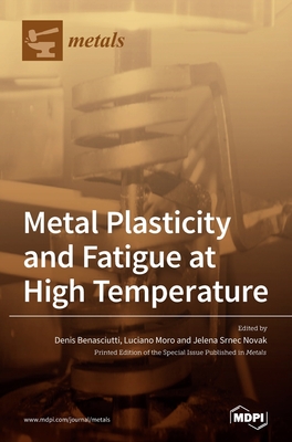 Metal Plasticity and Fatigue at High Temperature - Jelena Srnec Novak