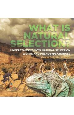 Coperta cărții 'What is Natural Selection? Understanding How Natural Selection Works and Phenotype Changes Grade 6-8 Life Science -'
