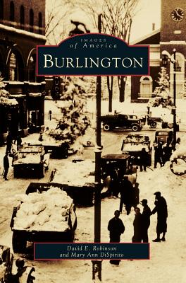 Burlington - Mary Ann Dispirito