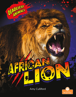 African Lion - Amy Culliford