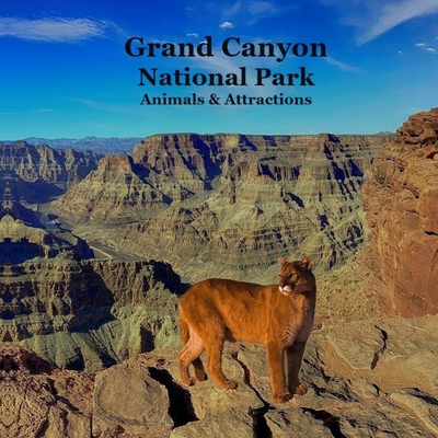 Grand Canyon Park Animals and Attractions Kids Book: Great Way for Kids to See the Grand Canyon National Park - Kinsey Marie
