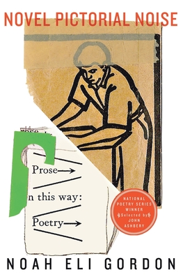 Novel Pictorial Noise - Noah Eli Gordon