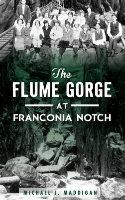 The Flume Gorge at Franconia Notch - Michael J. Maddigan