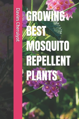 Growing Best Mosquito Repellent Plants - Davies Cheruiyot