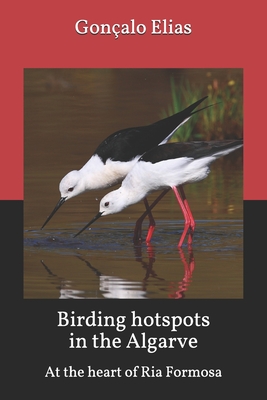 Birding hotspots in the Algarve: At the heart of Ria Formosa - Gonçalo Elias