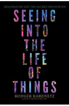 Seeing Into the Life of Things: Imagination and the Sacred Encounter - Rodger Kamenetz