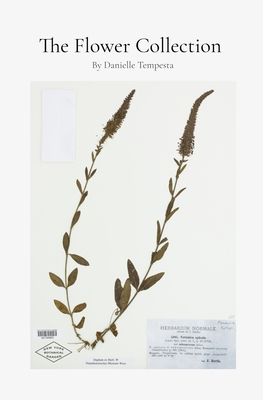 The Flower Collection - Danielle Tempesta