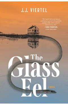Coperta cărții 'The Glass Eel - J. J. Viertel'