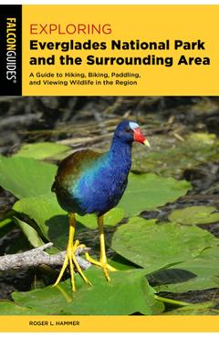 Poza produsului Exploring Everglades National Park and the Surrounding Area: A Guide to Hiking, Biking, Paddling, and Viewing Wildlife in the Region - Roger L. Hammer