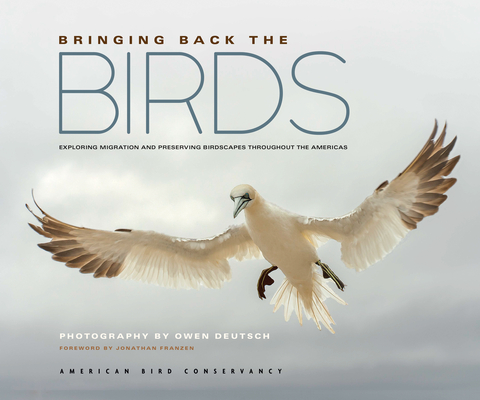 Bringing Back the Birds: Exploring Migration and Preserving Birdscapes Throughout the Americas - 