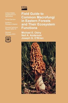 Field Guide to Common Macrofungi in Eastern Forests and Their Ecosystem Function - Michael E. Ostry