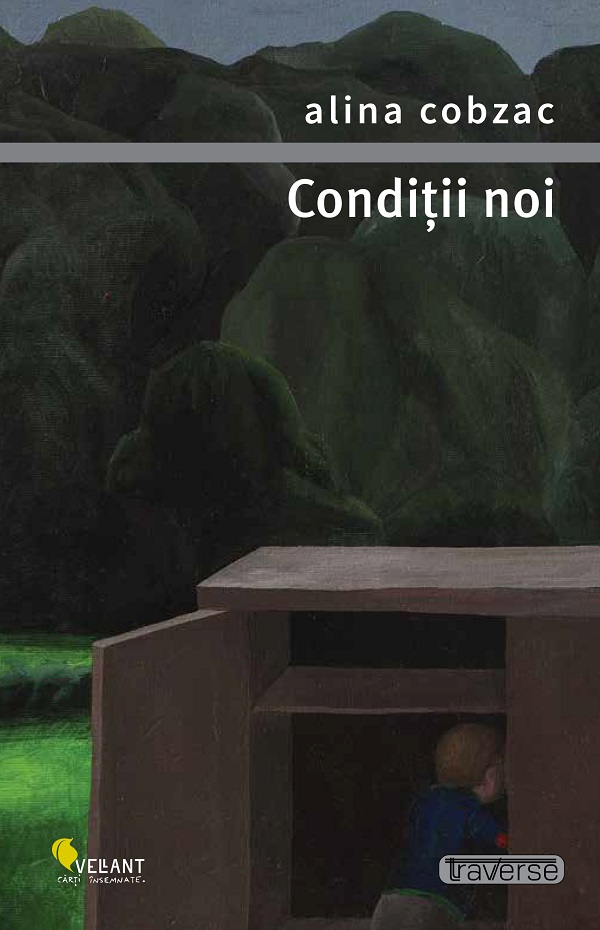 Conditii noi - Alina Cobzac
