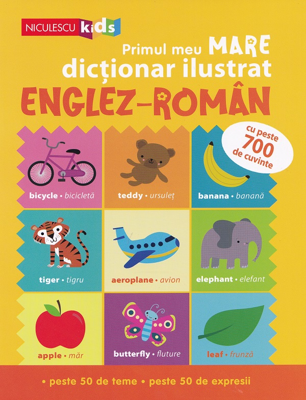 Primul meu mare dictionar ilustrat englez-roman - Catherine Bruzzone, Vicky Barker