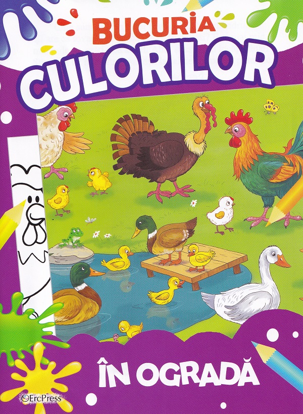 Bucuria culorilor. In ograda