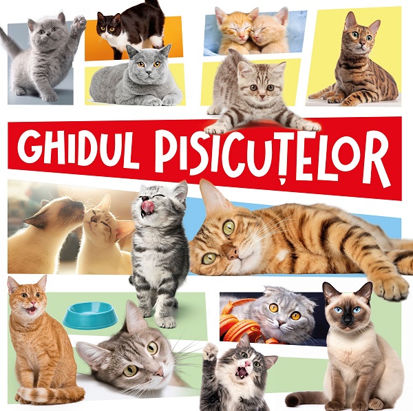 Ghidul pisicutelor