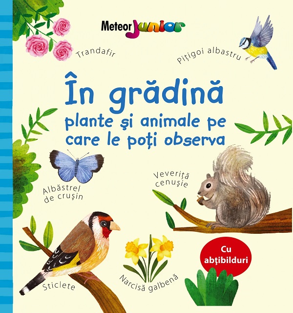 In gradina. Plante si animale pe care le poti observa - Kate Nolan
