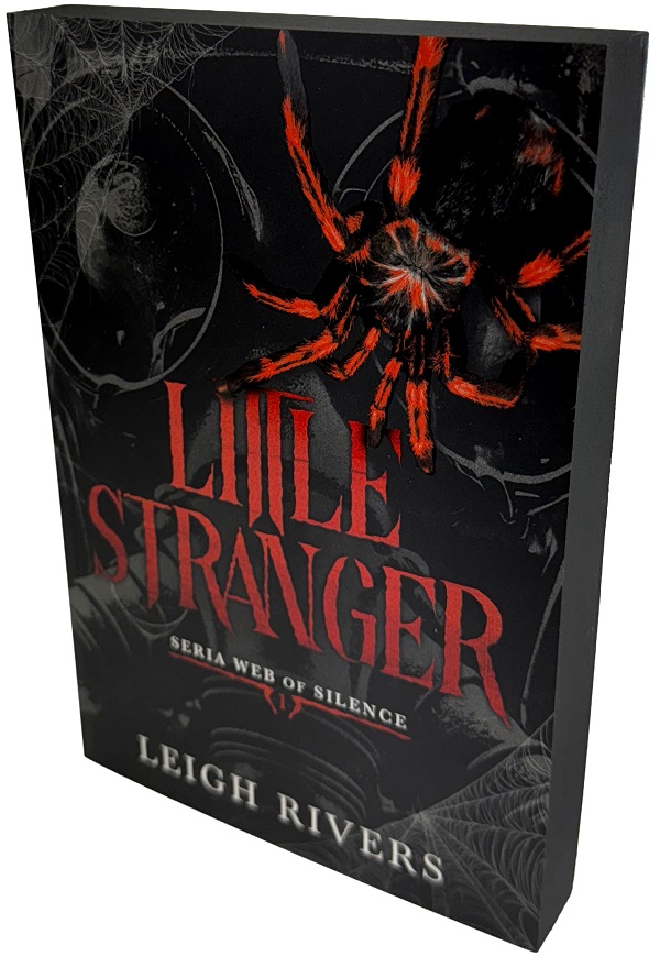 Little Stranger. Seria Web of Silence Vol.1 - Leigh Rivers