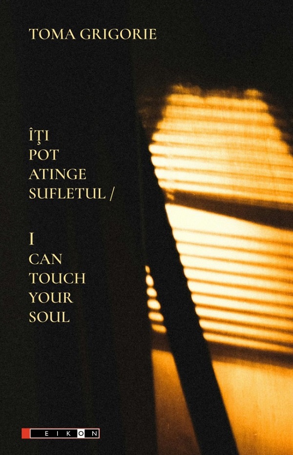 Iti pot atinge sufletul. I can touch your soul - Toma Grigorie